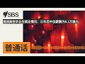 澳洲高校毕业生就业情况:三年后中位薪酬为9.1万澳元 | SBS Mandarin - SBS 普通话电台
