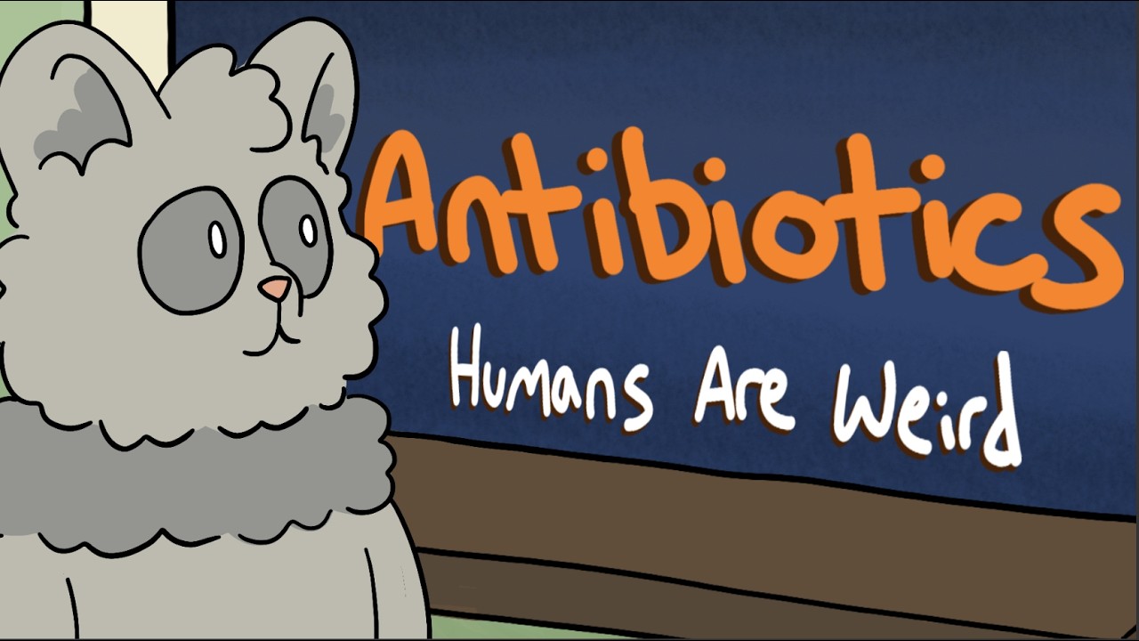 Люди — странные существа | Антибиотики
