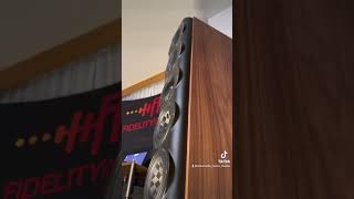 🤯 Perlisten S7t at AXPONA 2023. Dreamedia is officially offering Perlisten NATIONWIDE.