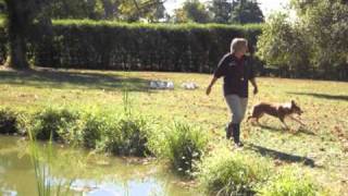 Geese Police of Virginia