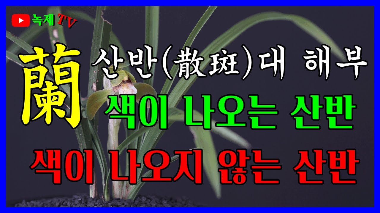동영상 속에 있는 산반(散斑)의 한자 표기중 반자가 얼룩반(斑)자 인데 나눌반(班)자로 잘못 표기된 점이 있어서 바로 잡습니다.