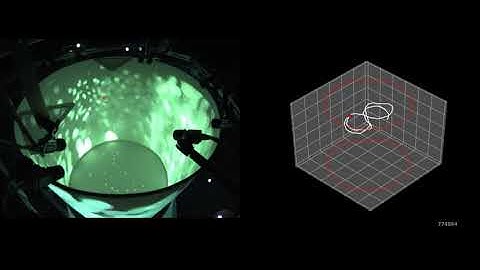 Drosophila: To Infinity and Beyond