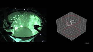 Drosophila: To Infinity and Beyond