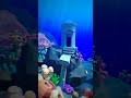 Atlantis Map in Walkabout Mini Golf Reverb G2 Through Lens VR Virtual Reality