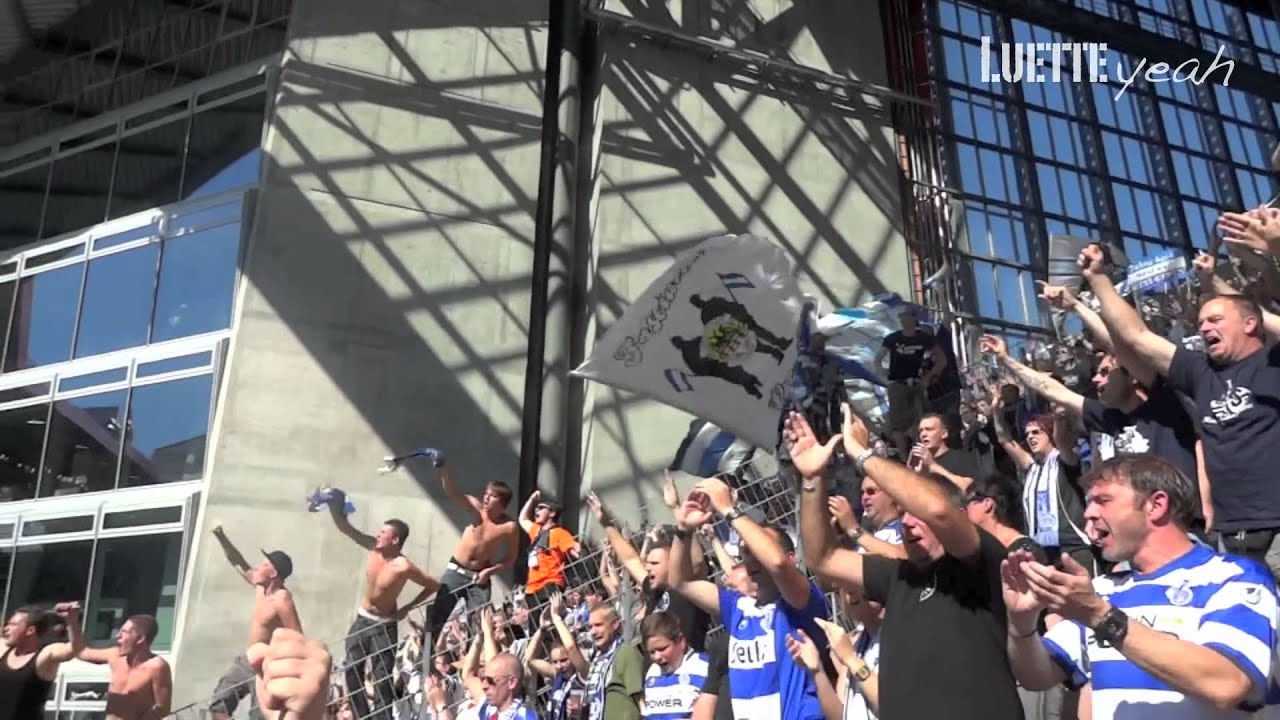 Zebras auf dem Betzenberg (September 2012)