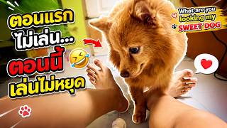 Mommy & Sweet Dog’s Funniest Day Together! You Won’t Stop Laughing 😂🐶❤️