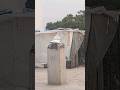 love birds and pigeon #punjabi #pigeon #trending #kabootar #ytshorts #ytviral #sundh_dihat