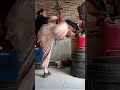 high kick#shorts #shortvideo #youtubeshorts #short