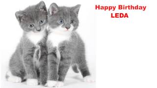 Leda  Cats Gatos - Happy Birthday