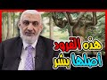 هذه القرود أصلها بشر