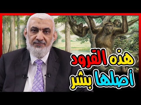 هذه القرود أصلها بشر