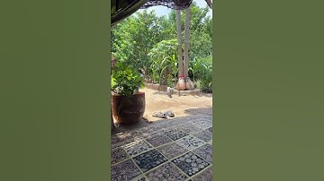 يَا قَوْمِ إِنَّمَا هَٰذِهِ الْحَيَاةُ الدُّنْيَا مَتَاعٌ..... (الآية)....... (غافر)