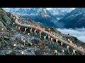 The Taliban Have Broken Through The Mountains To China After 80 Years Of Isolation But China Is 