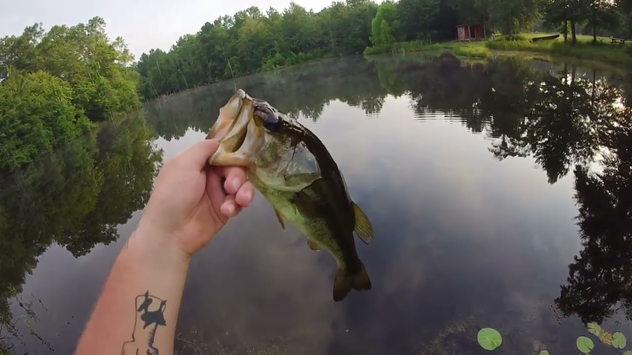 First cast, First light,Big bass! | Rooftop Tent Fishing
