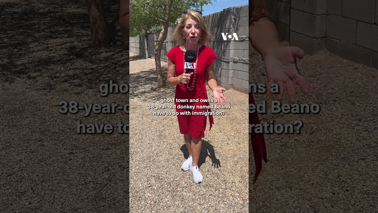 Border is motivating issue for Arizona voters | VOA News 