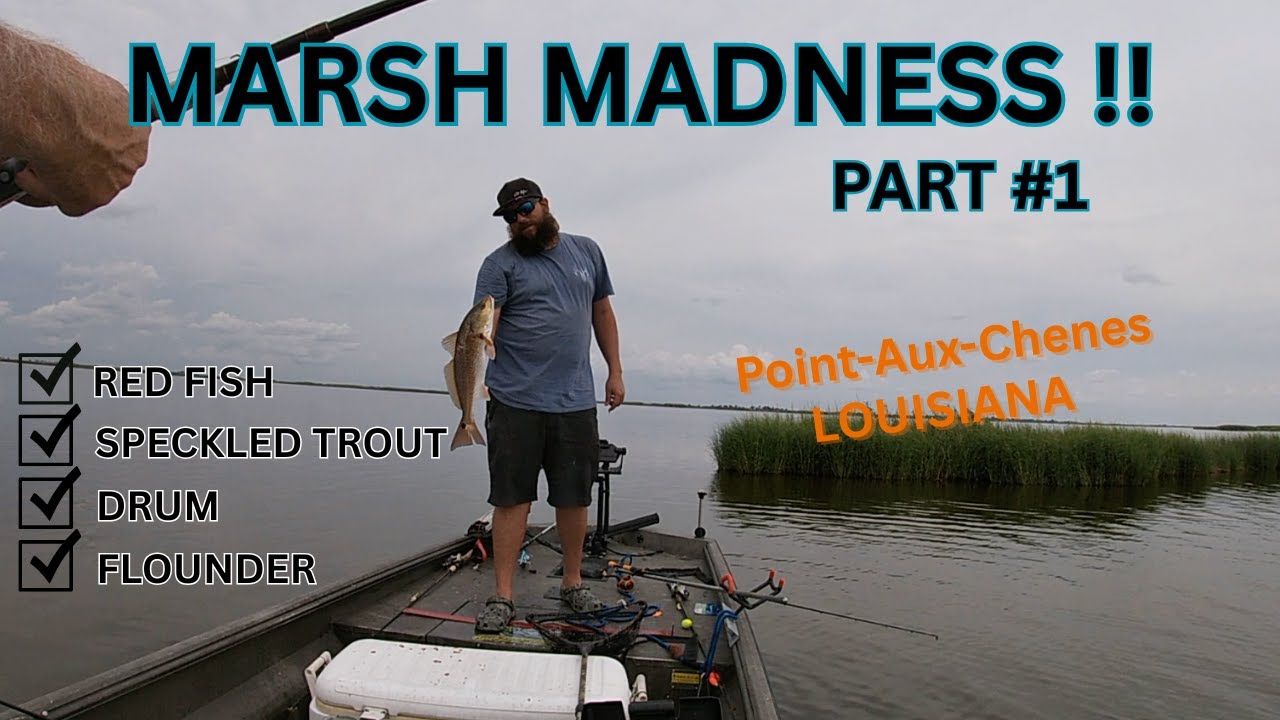 MARSH MADNESS -  PAC Beatdown