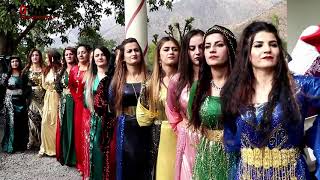 Kızların Efsane Halayı şexanıya Oremarya elemun düğünleri kurdish wedding Resimi