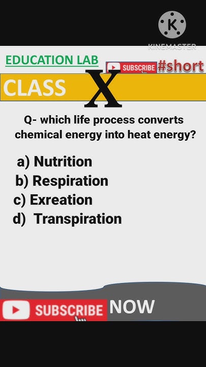 class-10-biology-q-which-life-process-converts-chemical-energy-into