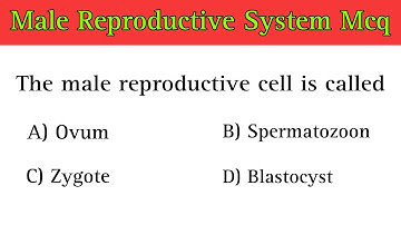 Mannelijk voortplantingssysteem Mcq | vragen over het mannelijke voortplantingssysteem