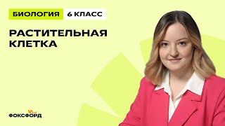 картинка: Растительная клетка | Биология 6 класс | Домашняя школа Фоксфорда