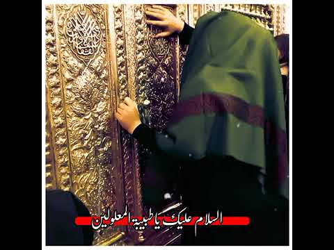 علويه هاي ام الوفه حالات واتس اب استشهاد العلويه شريفه بنت الحسن عليها السلام