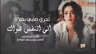 اني اتنفس هواك - تدري مابي بغلاك | استكنان وطرب 2025 فادي السعدون