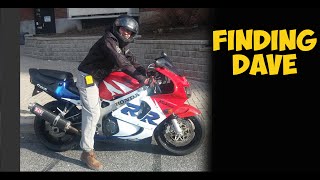 Finding Dave | A Fun Little Game Of Cat & Moose