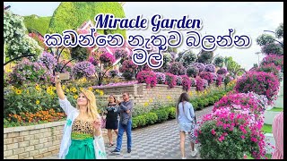 Dubai miracle garden | best places to ...
