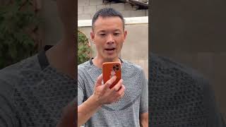 El perro inteligente que cobra dinero y atiende clientes 🐶💰 #viral #shortvideo