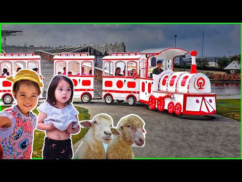 บริ้งค์ไบรท์ | รถไฟสวนสนุก ฟาร์มแกะพัทยา Pattaya Sheep Farm