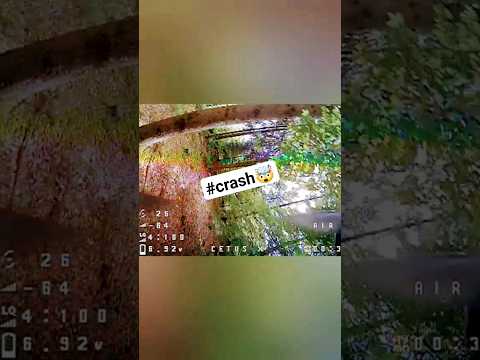 I Crashed Into