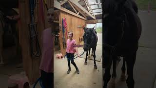 #horse #ponies #equestrianjourney #equestrian #horsie