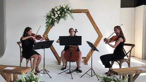 At Last || String Trio version || SoulStation Orchestra ||Montreal Wedding & Event Band