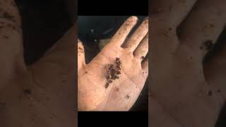 https://sacomposting.org/ #worms #compost #garden