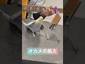 渾身の歌無視ドヤっ!!!!