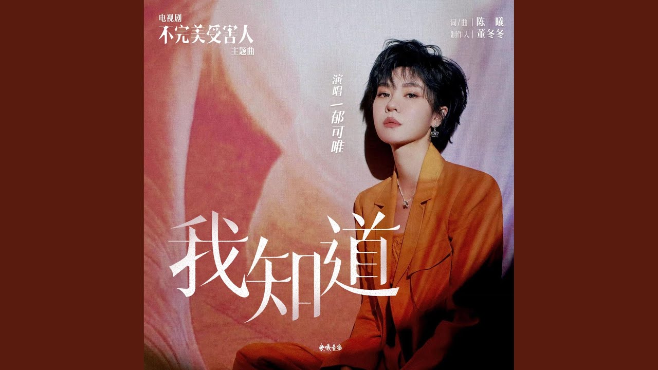 我知道（电视剧《不完美受害人》主题曲） (和声伴奏版)