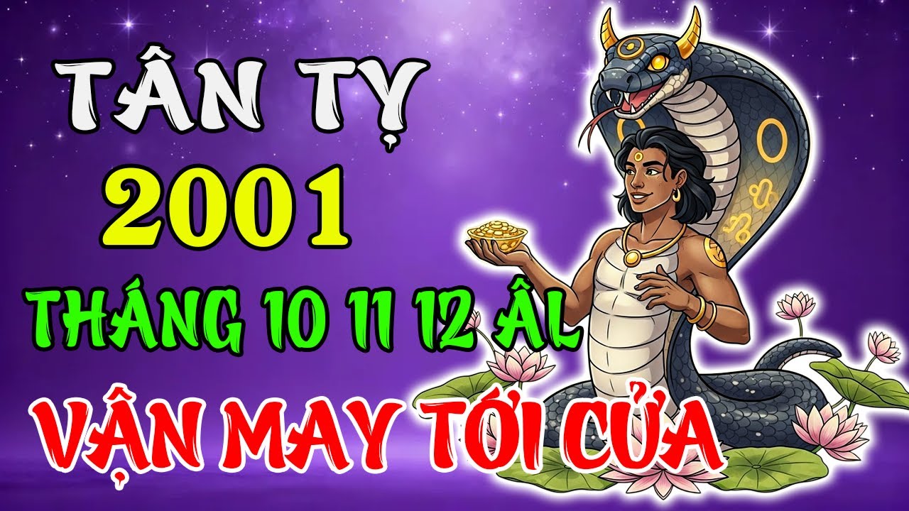 Tử Vi Tháng 10, 11, 12 Âm Lịch 2025 Tuổi Tân Tỵ 2001 | Tài Lộc Viên Toàn, Cuộc Sống Sung Mãn