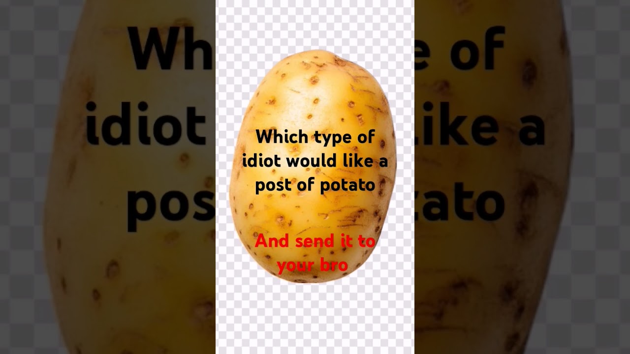Potato 