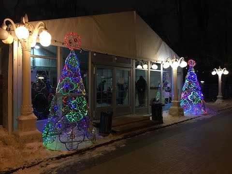 Каток с натуральным льдом ,сад Эрмитаж