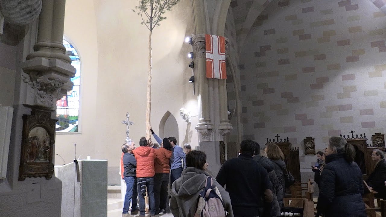 Ofrena d'un pi a Sant Sebastià