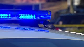 Police say wanted teens behind string of car break-ins across Durham