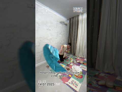 Подпишись 🫂каждый день новое видео⚡️ #рекомендации #юмор #пранк