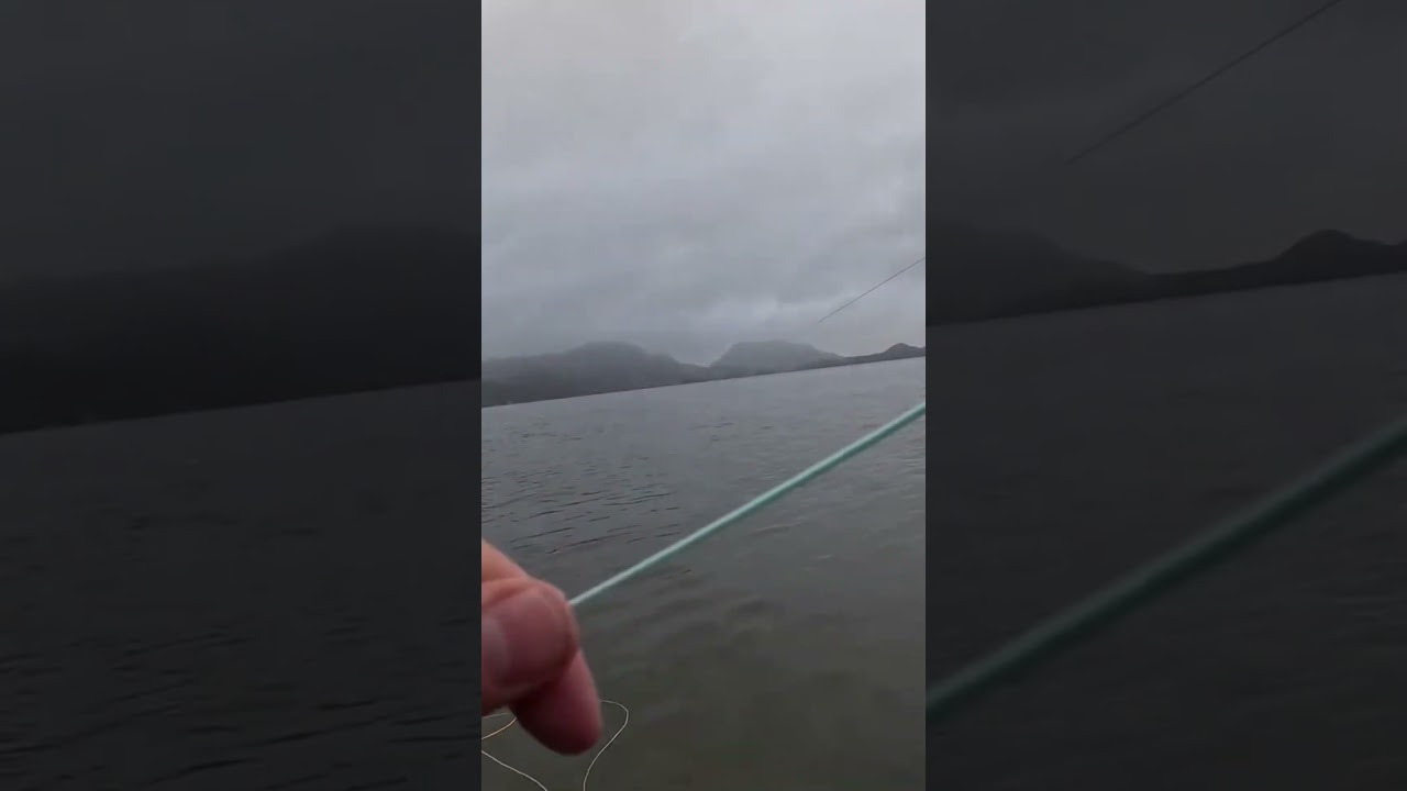 Spontaneos Sea Trout Fishing Trip 