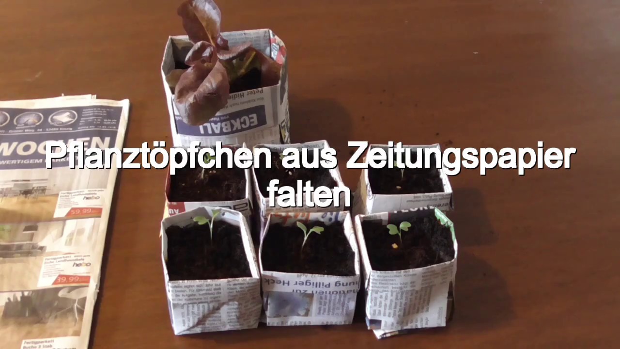 pflanztopf frosch Frhlicher Frosch-Blumentopf  Kein Stress, einfach genieen!  trendaffe.de