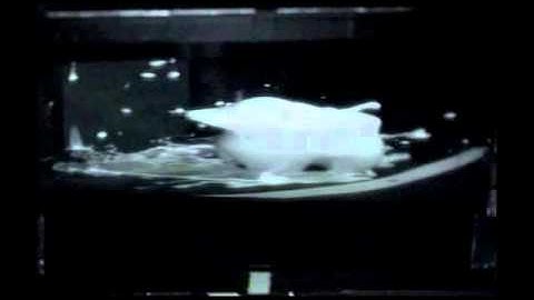 Concave Surround Optics for Rapid Multiview Imaging