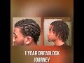 Dreadlock Journey: 1 Year