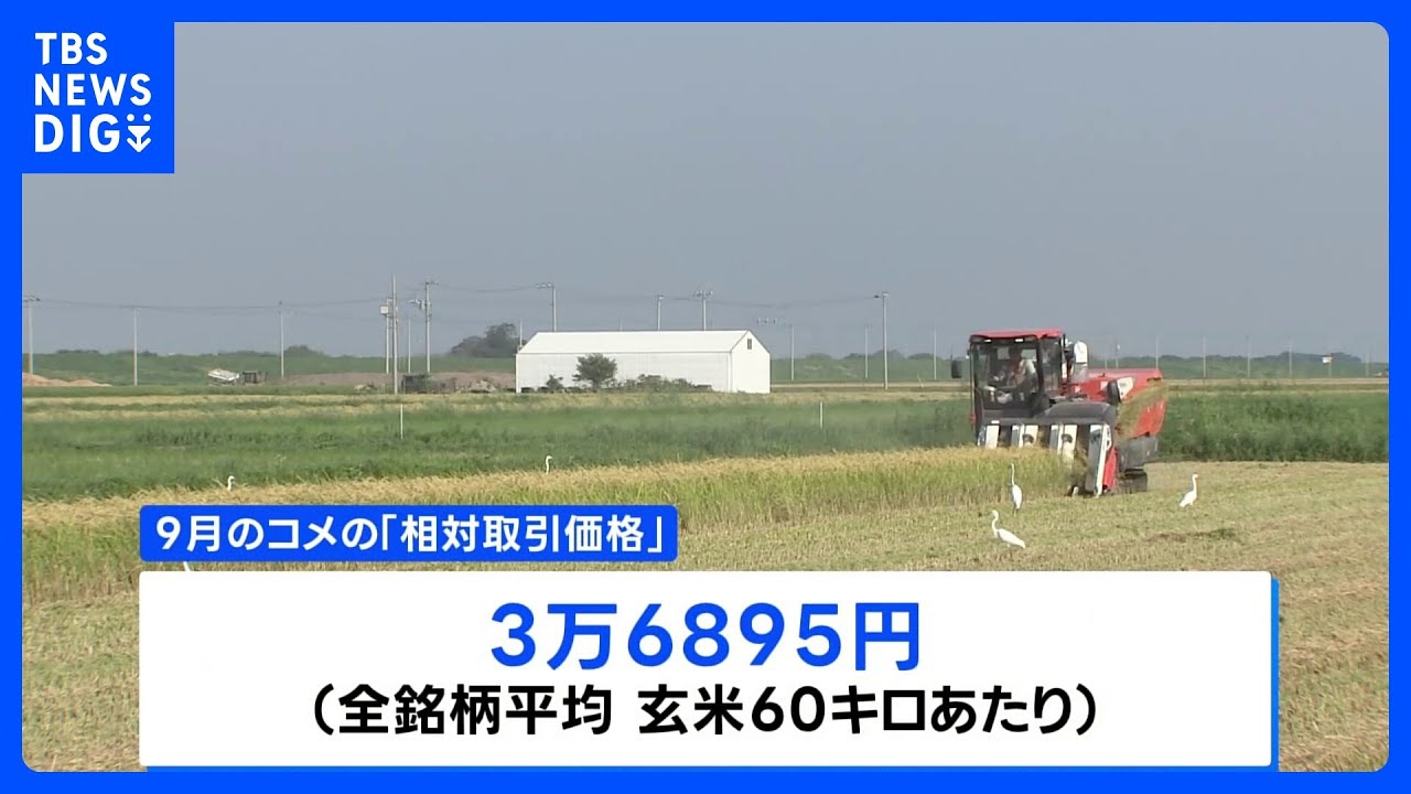 相対取引価格3万6895円　前年同月比6割増　過去最高値を更新　概算金高値が要因｜TBS NEWS DIG