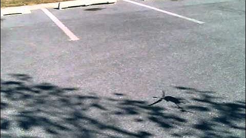 HBFP V2 short crash video