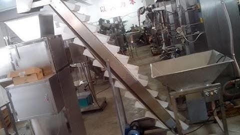 Nuts Beans Granule Weighing Filling Machine double head Granulat Verpackungsmaschine