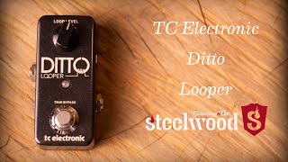 A really fun pedal! | TC Electronic Ditto Looper - YouTube
